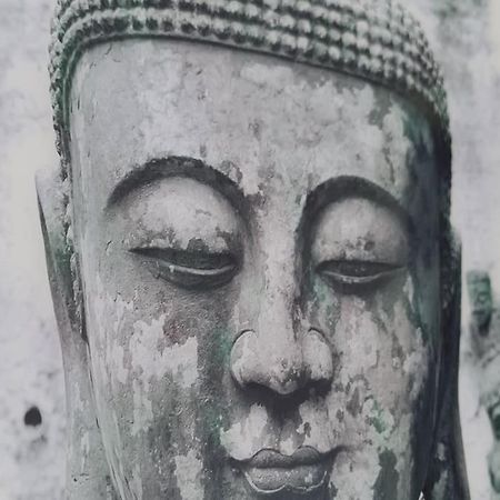 Villa Lux 菲内斯特拉特 外观 照片